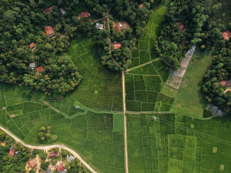 high angle view, green color, field, tranquil scene, no people, full frame, beauty in nature, green, agriculture, aerial, outdoors, scenics - nature, land