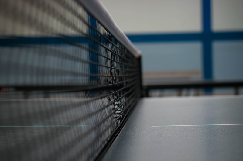 ping-pong table, built structure, ping-pong, boundary, pattern, architecture, sport, sports hall, play, 5K, plate, team, focus on foreground, fence, barrier
