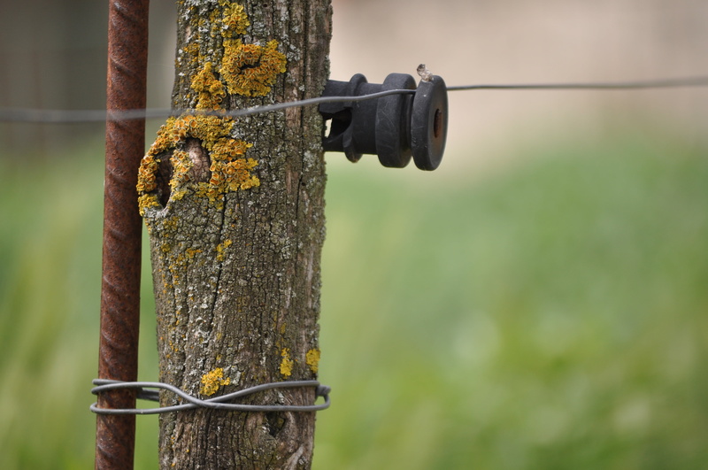 rusty, weathered, old, protection, power cord, barrier, day, wooden post, focus on foreground, metal, trunk, boundary, fence, close-up, rustic, safety