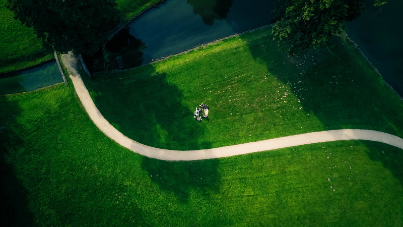 sunlight, tree, green - golf course, power, plant, people, nature, park, beauty in nature, green, path, golf, leisure activity, high angle view, sport