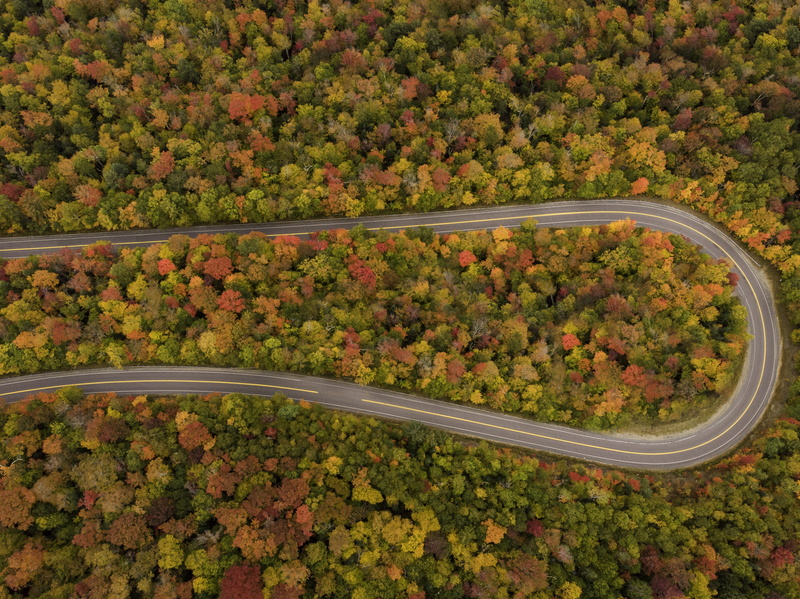 no people, scenics - nature, winding, aerial view, forest, turn, nh, landscape, outdoors, hairpin, tranquility, curving road, full, environment, transportation