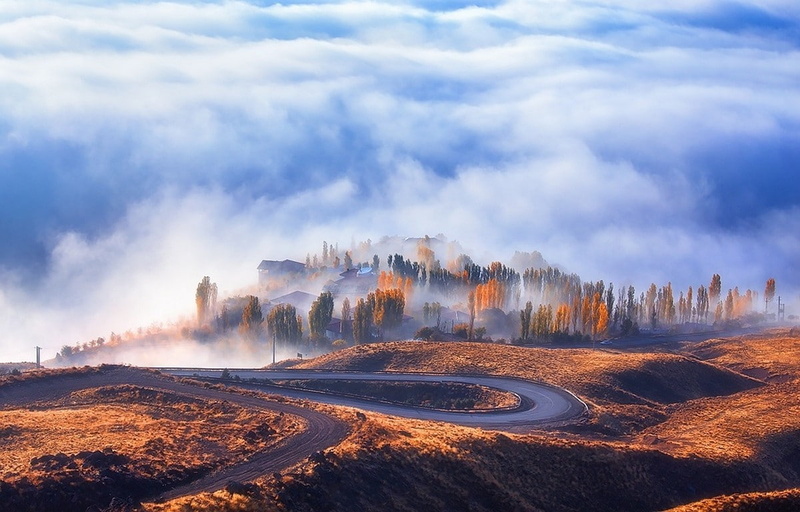 plant, non-urban scene, 480P, scenics - nature, tranquil scene, no people, day, Hairpin Turns, tree, travel destinations, power in nature, smoke - physical structure