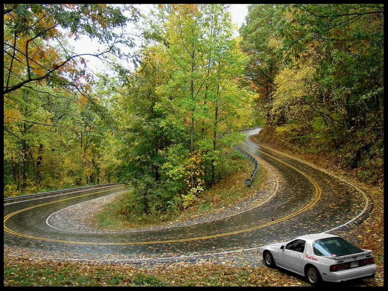 hairpin turns car fall trees road, no people, auto post production filter, motor vehicle, autumn, beauty in nature, road, land vehicle, change, growth