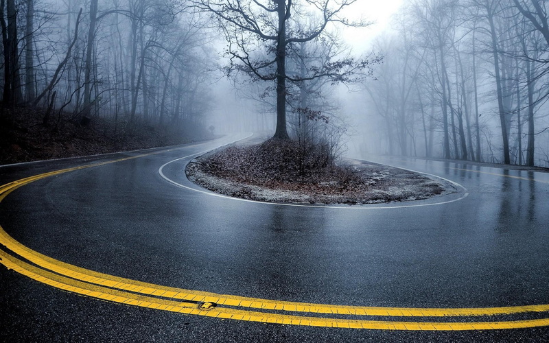 plant, asphalt, day, 1080P, transportation, the way forward, street, road, sign, road trees wet mist turn contrast 1610 hairpin turns, marking, double yellow line