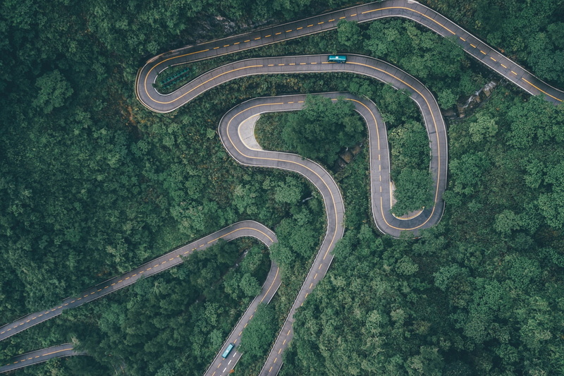 no people, growth, land, landscape, green color, day, high angle view, plant, field, nature, nature forest road car buses river green asphalt highway china trees hairpin turns aerial view