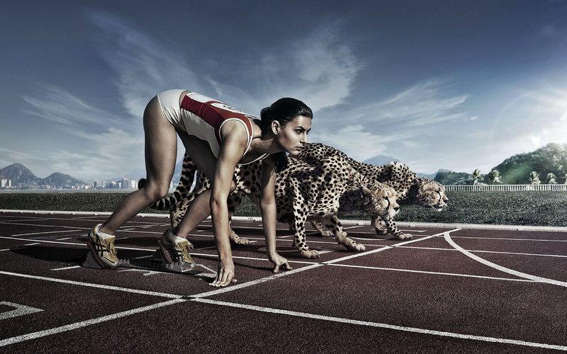 starting line, young adult, running track, track and field, determination, sports track, people, cloud - sky, competition, competitive sport, cat, athlete