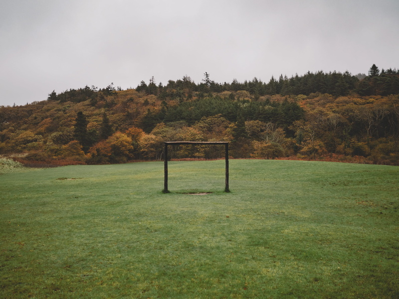 scenics - nature, football, grass, landscape, ireland, plant, outdoors, grassland, stadium, arena, field, day, green, football field, tree, sport, sports