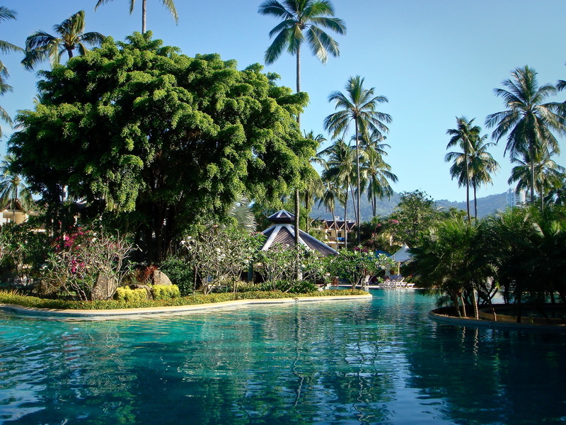 park, tree, plant, waterfront, sea, leisure Activity, tourism, scenics - nature, water, hotel, thailand, coconut Palm Tree, tranquility, blue, palm Tree