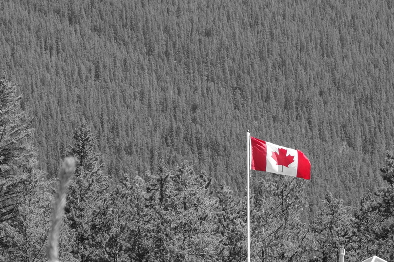 environment, day, pole, plant, outdoors, canada, red, national park, canadian flag, patriotism, tree, beauty in nature, no people, nature, wind, tranquility