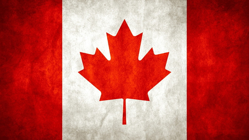 steel, textile, textured, maple leaf, flag, pattern, textured effect, no people, 1080P, close-up, leaf, metal, clean, patriotism, Canada, red, symbol
