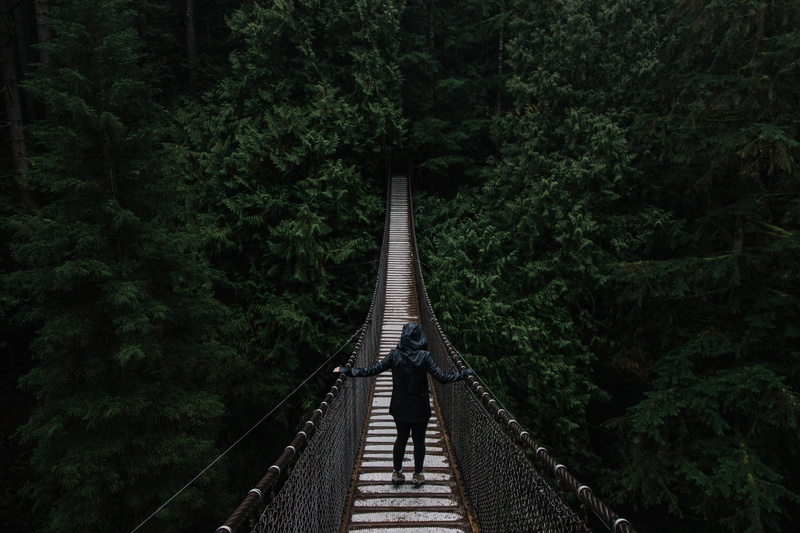 diminishing perspective, forest, full length, loneliness, lifestyles, outdoors, 5K, hanging, suspension Bridge, suspended, direction, rear view, tree