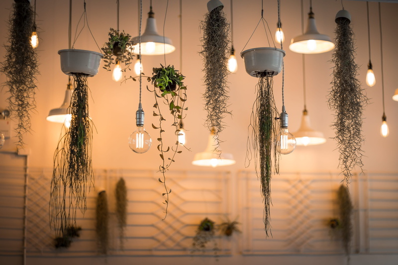 illuminated, indoors, 4K, low angle view, suspended, focus on foreground, electricity, no people, electric light, plant, celebration, lighting equipment