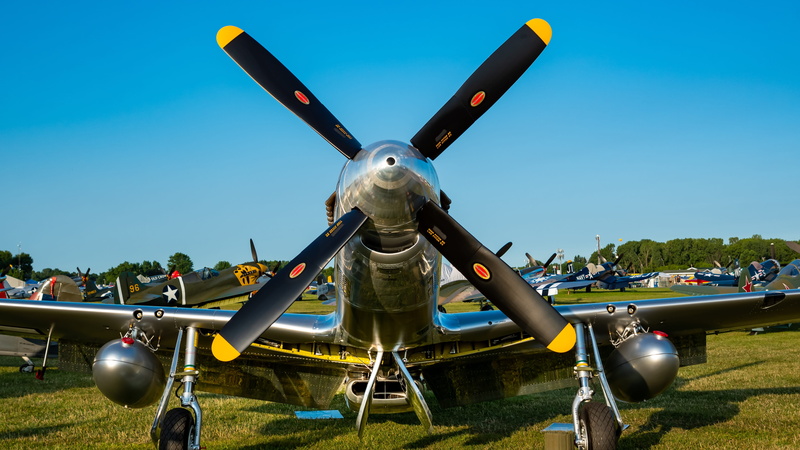 weapon, no people, mustang, airplane, blue, airshow, military, nature, clear sky, single object, p-51, grass, silver colored, fighter, day, p51, warbird