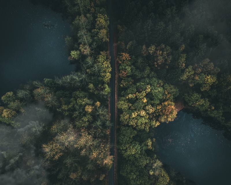 topdown, path, fog, dji, sunlight, drone, dark, backgrounds, beauty In Nature, outdoors, leaf, landscape, aerial, aerial View, body, lonely, wild, scenics