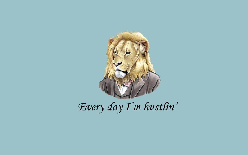 communication, day, art and craft, lion, hustlin, every, colored background, animal wildlife, feline, hairstyle, portrait, hustlin, western script, indoors