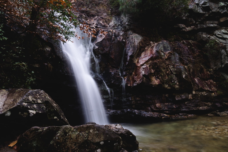 united states, rock, motion, no people, nature, falling water, flowing, rainforest, formation, is a waterfall, tree, every tear, rock formation, power