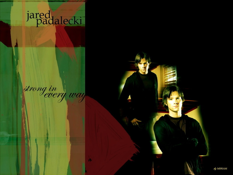 people, jared padalecki, way, actors, hd, 480P, art, jared, Gilmore Girls, gilmore, girls, every, strong, Supernatural, padalecki