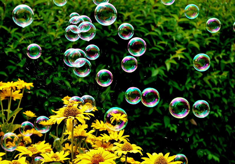 no people, multi colored, flower, mid-air, fragility, make soap bubbles, soap sud, close-up, bubble, outdoors, summer, soap bubbles, float, nature, vulnerability