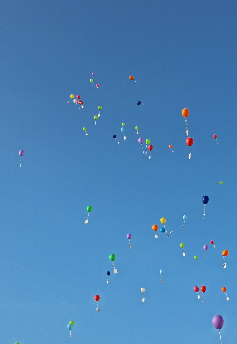 2K, helium balloon, balloon, sunlight, low angle view, competition, ballooning festival, Ballons, Balloons, slightly, motion, mid-air, sky, abundance