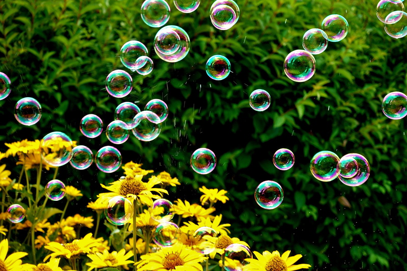 bubble, summer, nature, green color, soap sud, colorful, day, beauty in nature, shape, balls, multi colored, freshness, vulnerability, no people, flowering plant