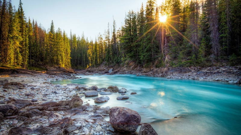 lens flare, rock, beauty in nature, flowing, nature, forest, river, sky, outdoors, body of water, water, no people, watershed, rapid, sunbeam, fishing