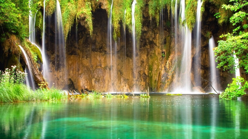 flowing water, motion, outdoor, forest, river, wilderness, day, landscape, waterfalls, natural, park, spring, scenic, tranquility, reflection, plant, flowing