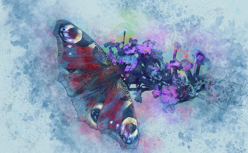 plant, art and craft, flowering plant, peacock, freshness, macro, pink, beauty in nature, flowers, butterfly, flower, fauna, animal themes, slightly, multi colored