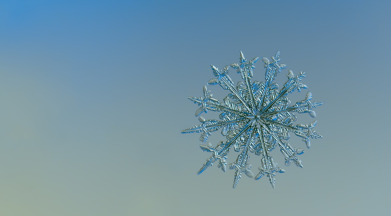 amusement park, Photography, cold temperature, low angle view, Frozen, Snow, Background, Winter, Fractal, unique, no people, outdoors, Small, sky, microscope