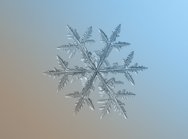 no people, Cold, Winter, Small, blue, Photography, low angle view, Real, intricate, microscope, beauty in nature, blizzard, 1080P, creativity, close-up