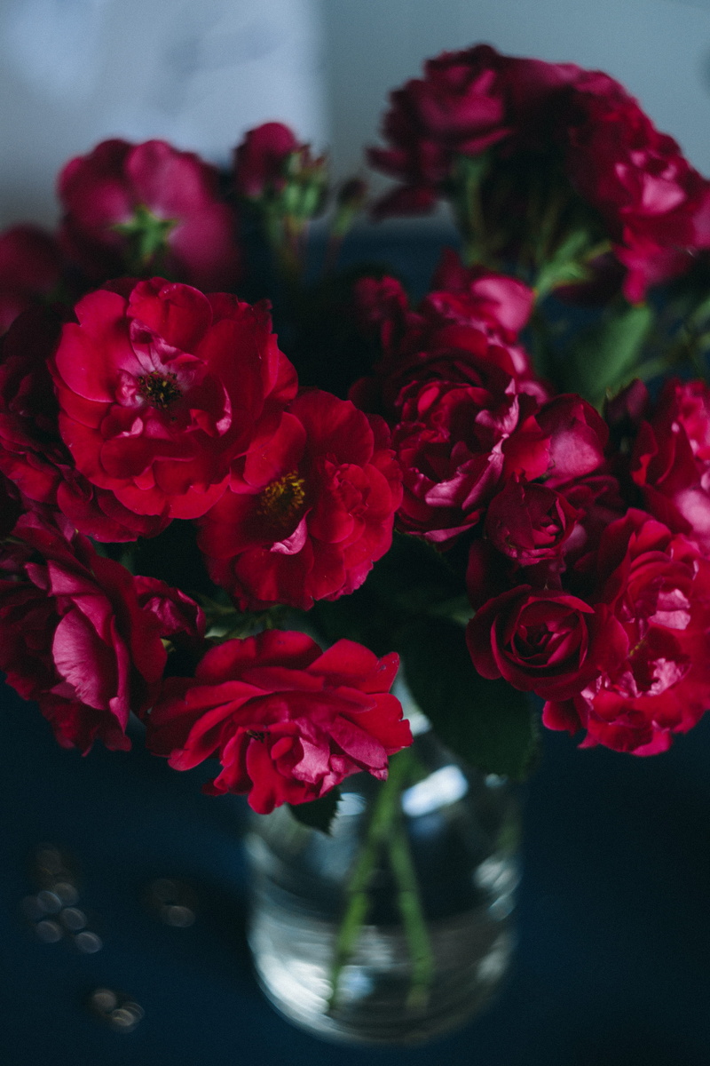 romance, close-up, red roses, 5K, beauty in nature, cute, lovely, freshness, female, fragility, bucket, bouquet, flowering plant, love, plant, flower head