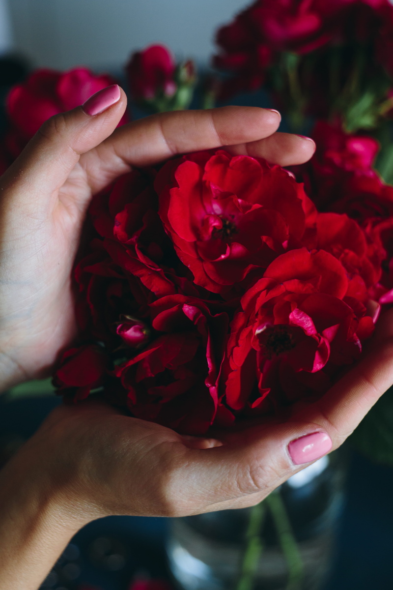 petal, red roses, workplace, real people, one person, love, human body part, flowering plant, hand, romance, body part, flower arrangement, fragility, roses