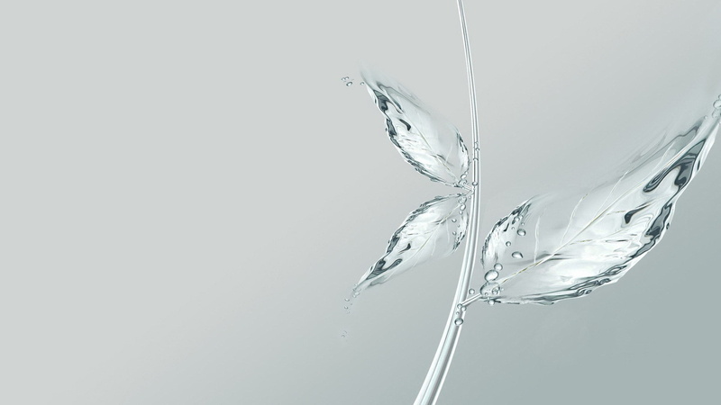 studio shot, water, drop, purity, blue, flower, white background, clean, glass, indoors, reflection, close-up, fragility, no People, white, food and drink