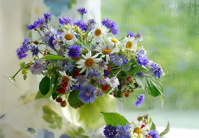 flower Head, glass, vase, daisies, leaf, blue, growth, beauty In Nature, white, purple, day, box, flowering plant, beauty, plant, bouquet, rain, 720P