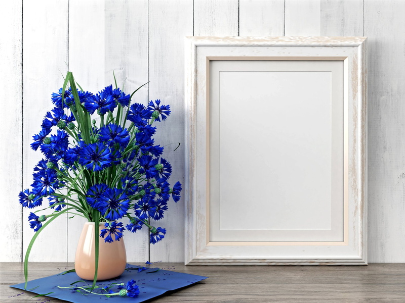 Flower, 1080P, Vase, Photography, Cornflower, Blue Flower, Still Life
