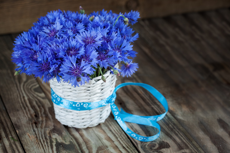 bouquet, blue, cornflowers, 5K, flowers