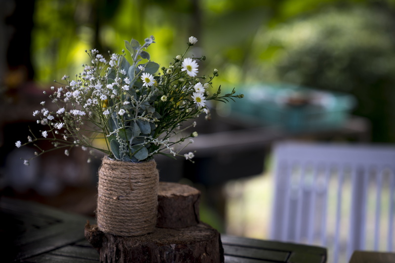 potted plant, chrysanthemum, celebration, flower head, wood, flowers, love, page, freshness, beauty in nature, no one, natural, still, red, flowering plant