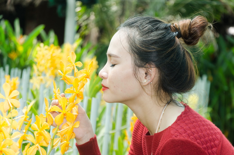 freshness, woman, the garden, fragrant flowers, smelling, flower care, yellow, flower, love flowers, beautiful, women, portrait, flowers, 4K, fragility