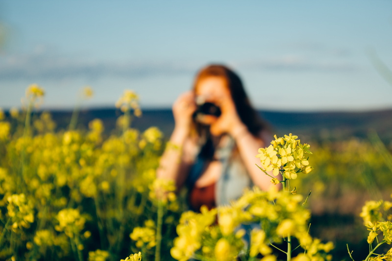 outdoors, flowering plant, photography themes, photography, beauty in nature, nature, technology, standing, photographing, water, garden, field, summer