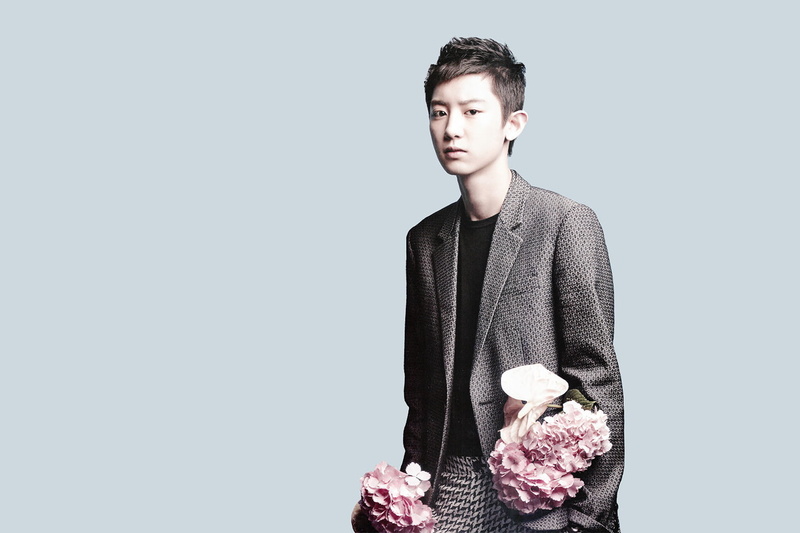 Exo, young adult, adult, one person, looking at camera, standing, indoors, young men, flower, holding, copy space, gray, studio shot, contemplation, clothing