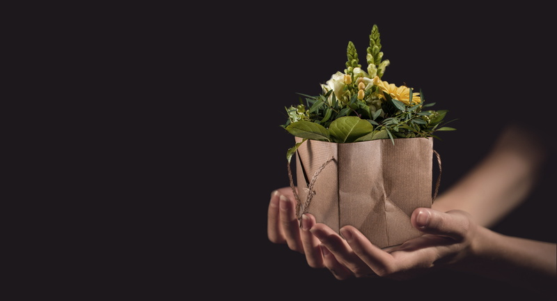 bunch of flowers, 4K, copy space, blooming, nature, studio shot, gardening, flowering plant, business, black background, unemployment, holding, cut out