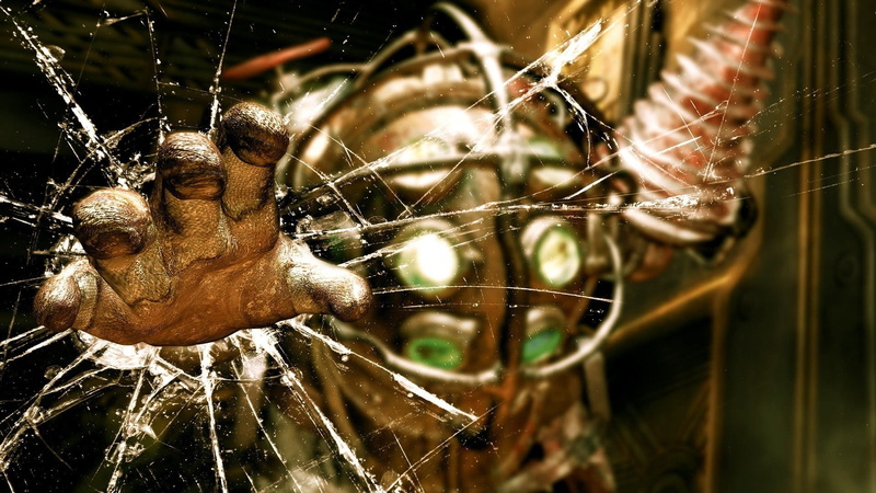 animal wing, one animal, close-up, arachnid, vulnerability, fragility, BioShock, invertebrate, 1080P, nature, spider, insect, no people, animal wildlife