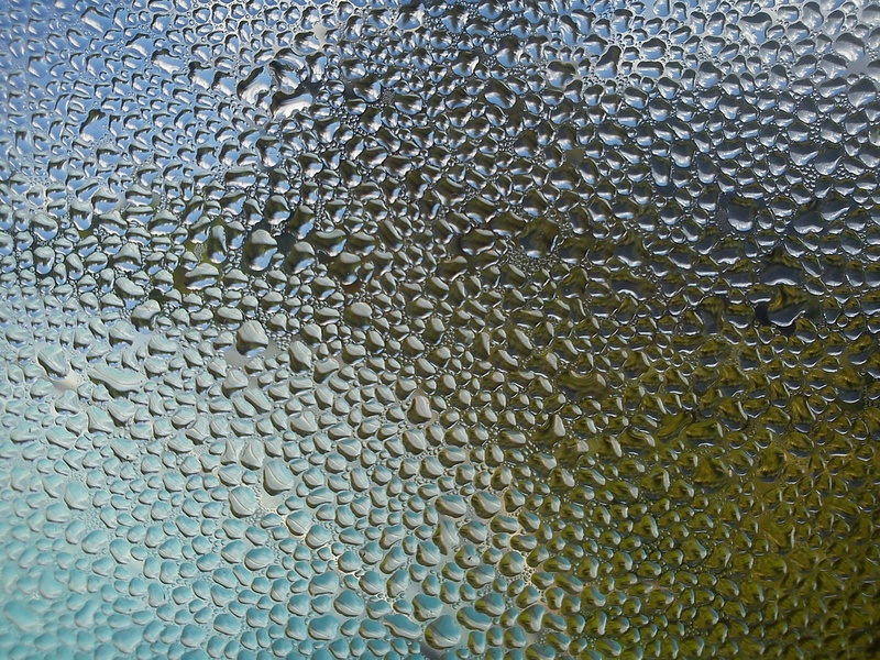 day, freshness, clear, wet, drip, abstract, purity, drop, textured, condensation, rough, pattern, backgrounds, many, transparent, design, frosted glass