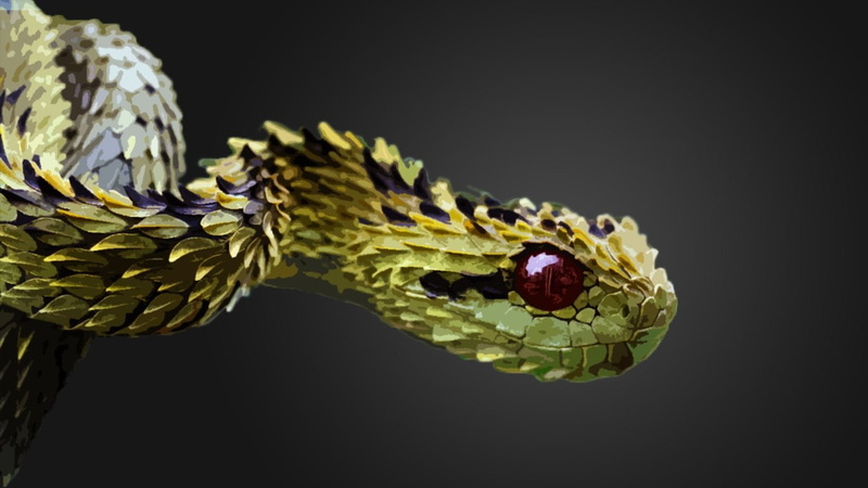 danger, reptile, 720P, Photo Manipulation, Hairy Bush Viper, Vipers, snake