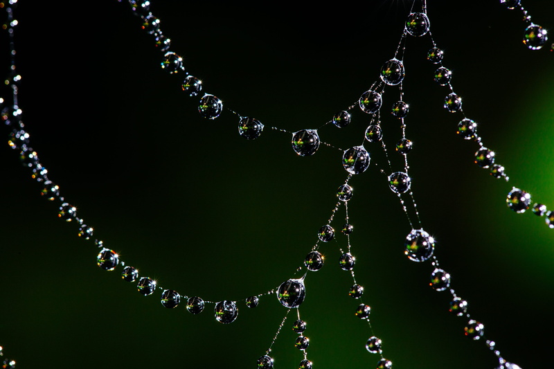 crystal, close-up, outdoors, net, water, trap, purity, pattern, design, environment, studio shot, color, insect, bead, precious gem, spider web, natural