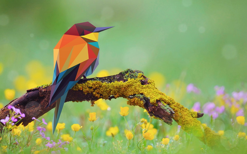 moss, low poly, birds, 1080P, branch, bee-eaters, flowers, abstract