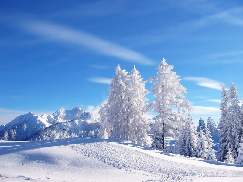 white, landscape, mountain peak, sunlight, tranquility, cloud - sky, cyan, trees, frozen, day, clear sky, powder snow, plant, pine, snowcapped mountain