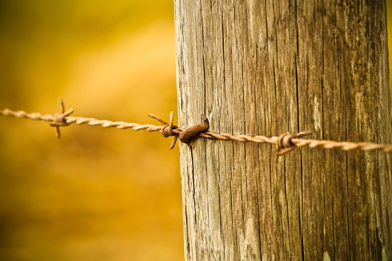 sharp, nature, day, wire, material, old, wood texture, barrier, grain, wooden post, focus on foreground, structure, wood - material, forbidden, weathered