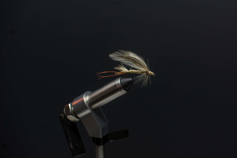 close-up, studio shot, black background, fly tie, indoors, single object, angler, feather, lure, flies, no people, music, animal wildlife, craft, 4K, vulnerability