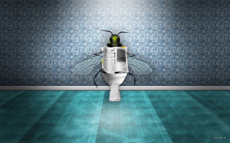 1080P, Reading, Newspaper, Toilet, Flies