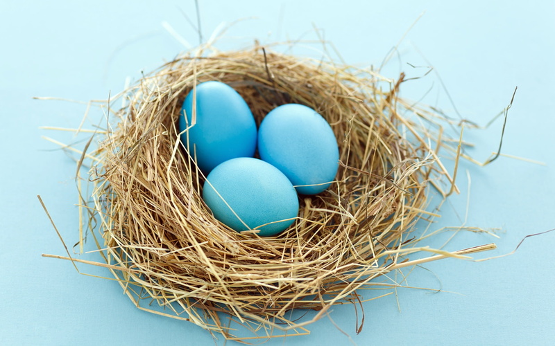 Easter, Nest, Egg, 1080P